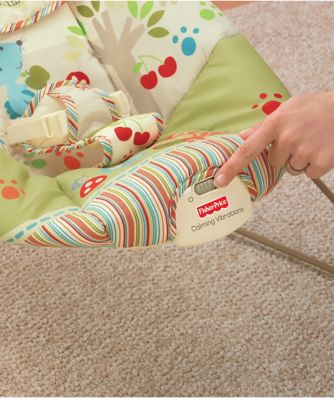 fisher price cozy cocoon bouncer